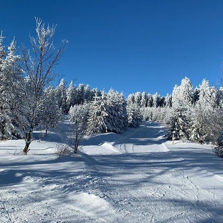 Aktiv-Ferienwohnung "Snow & Bike"- Zentral Zwischen Winterberg Und Willingen Exterior foto