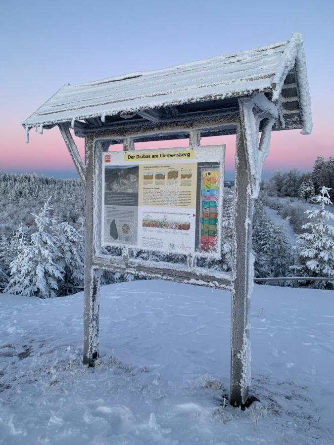 Aktiv-Ferienwohnung "Snow & Bike"- Zentral Zwischen Winterberg Und Willingen Exterior foto